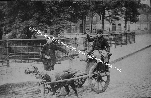 BELFORT  WITH DOG CART